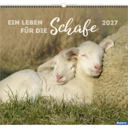 Ein Leben für die Schafe 2027 - Wandkalender