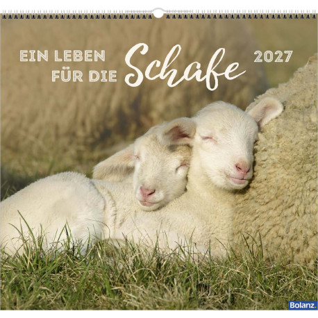 Ein Leben für die Schafe 2027 - Wandkalender
