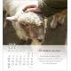 Psalm 23 Tischkalender