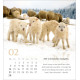 Psalm 23 Tischkalender