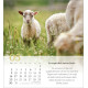 Psalm 23 Tischkalender