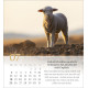 Psalm 23 Tischkalender