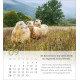 Psalm 23 Tischkalender