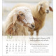 Psalm 23 Tischkalender