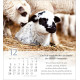 Psalm 23 Tischkalender