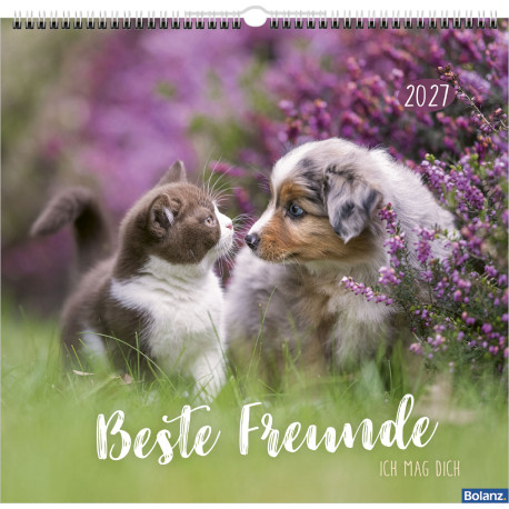 Beste Freunde - Ich mag dich 2027