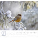 Meine Zeit 2027 - Wandkalender