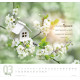 Meine Zeit 2027 - Wandkalender