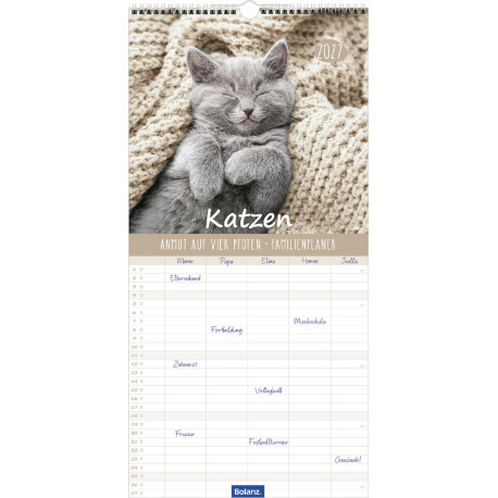 Katzen – Anmut auf vier Pfoten 2027 – Familienplaner