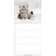 Katzen – Anmut auf vier Pfoten 2027 – Familienplaner