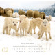 Psalm 23 - Wandkalender 2027