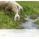 Psalm 23 - Wandkalender 2027