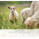 Psalm 23 - Wandkalender 2027