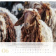 Psalm 23 - Wandkalender 2027