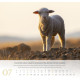 Psalm 23 - Wandkalender 2027