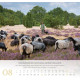 Psalm 23 - Wandkalender 2027