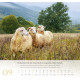 Psalm 23 - Wandkalender 2027
