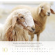 Psalm 23 - Wandkalender 2027