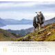 Psalm 23 - Wandkalender 2027