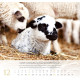 Psalm 23 - Wandkalender 2027