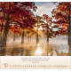 Licht Impressionen 2027 Wandkalender