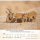 Israel Shalom 2027, Tischkalender