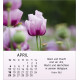 Ich wünsch dir Freude 2027