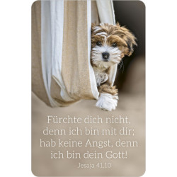 Kalenderkärtchen 2027, HUND