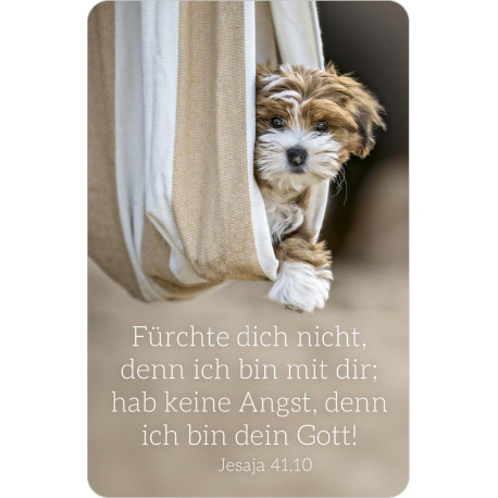 Kalenderkärtchen 2027, HUND