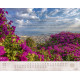 Israel Shalom - Wandkalender 2027